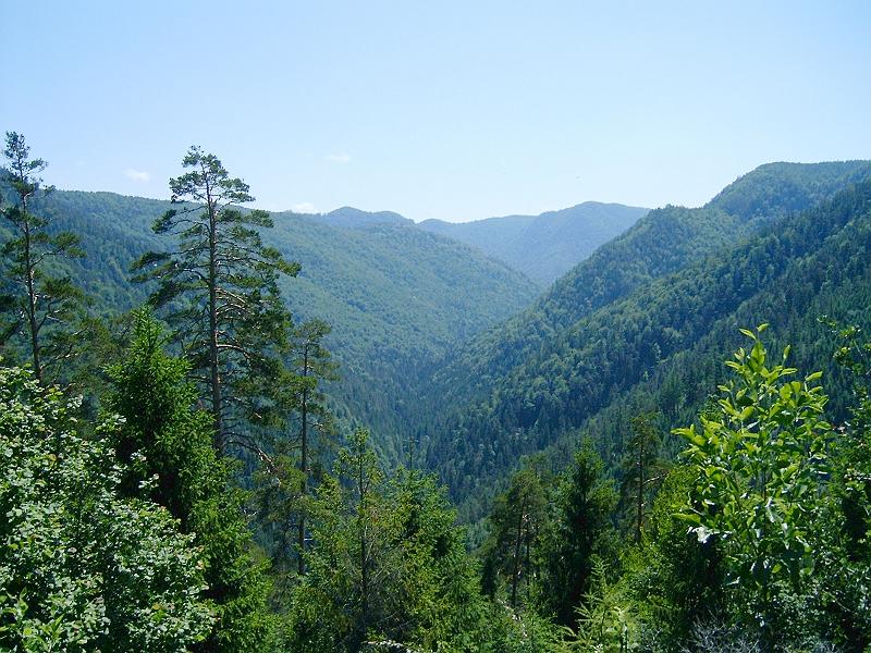 20120616 036.jpg